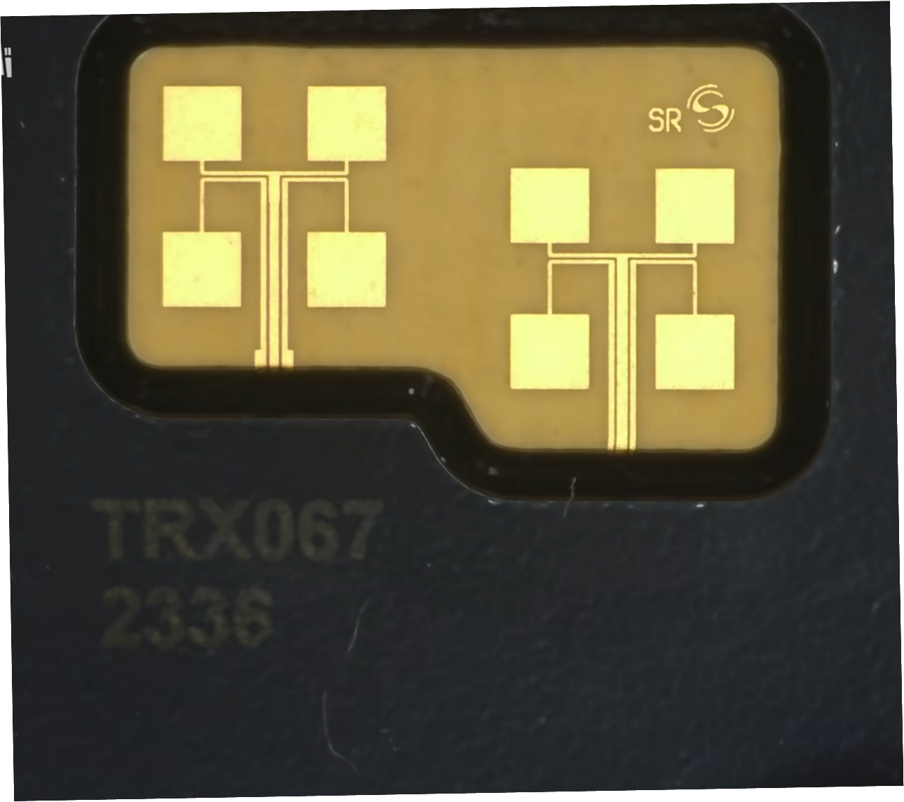 image-20251005141912571